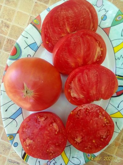 Томат Толстяк из Патонеса (Gordo de Patones)