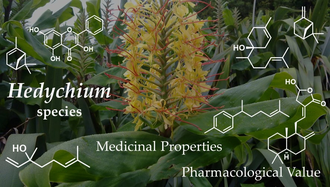 Имбирная лилия, Гедихиум колосистый (Hydicum spicatum) 10 мл - 100% натуральное эфирное масло