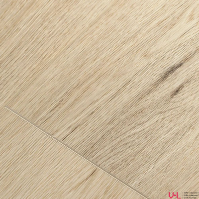 SPC ламинат First Floor Простой Серый Дуб 1F034