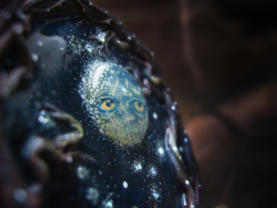 Новогодняя брошь "Таинство снежной Луны"