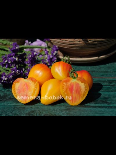 Томат Cœur de Zèbre (Heart of Zebre Apricot , Сердце абрикосовой зебры), 10 шт