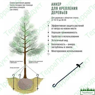 Анкер для растяжки деревьев 60см,анкер купить в Красногорске ,анкер для деревьев,анкер для растяжки