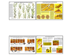 Плакаты ПРОФТЕХ "Сорные растения и меры борьбы с ними" (15 пл, винил, 70х100)