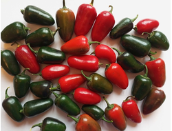 Перец острый  Black Maroccan Jalapeno