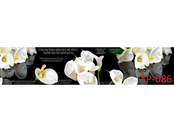 SP-086 БЕЛЫЕ ЦВЕТЫ НА ЧЕРНОМ ФОНЕ Глянцевая стеновая панель ALBICO  2800*610*6мм.