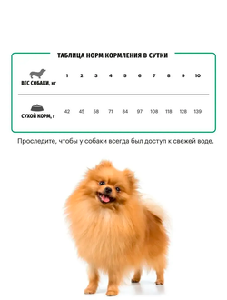 Karmy Mini Junior (Карми Мини Юниор) для щенков мелких пород, 10 кг