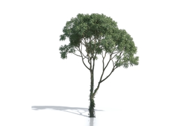 Создание щитов Billboards для Artlantis 5 - Artlantis 2021 (по вашей текстуре в формате png, tif, tga и т.п. с маской прозрачности)