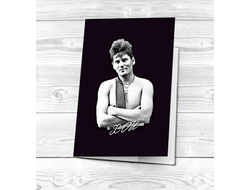 Обложка на паспорт Сектор Газа, Юрий Хой №25