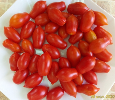 Томат Даттерини красный (Datterini red)