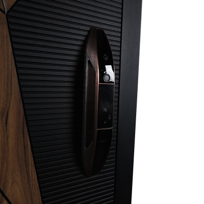 Стальная дверь   Mix. Заказная модель.