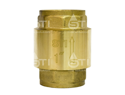 Клапан обратный пружинный STI Д25