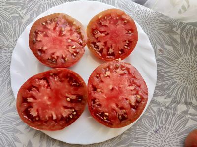 Томат Гном Малиновая нерка (Dwarf Crimson Sockeye)