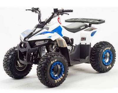 Квадроцикл YACOTA RAPOSA