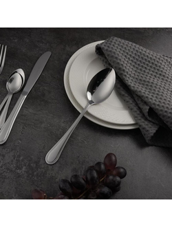 Ложка Ницца столовая 20,5 см