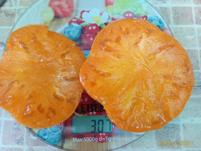 Томат Мясной завтрак (Meat Breakfast)