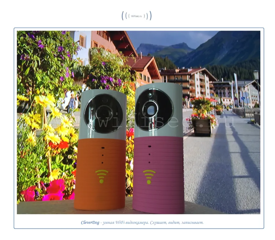 CleverDog умная WiFi p2p видеокамера от WiFisec.ru