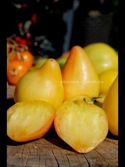 Томат Белое Сердце Софии