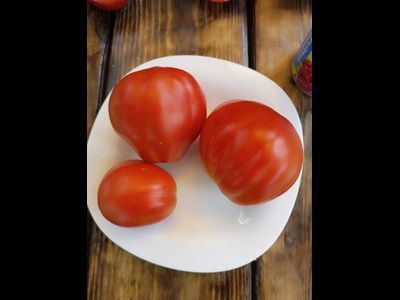 Томат Сердце Альбенги (Albenga), Италия