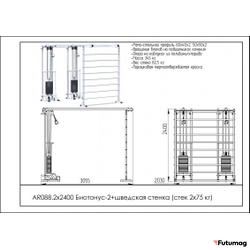Блочный кинезиотренажер Биотонус-2+шведская стенка AR088 2х2400