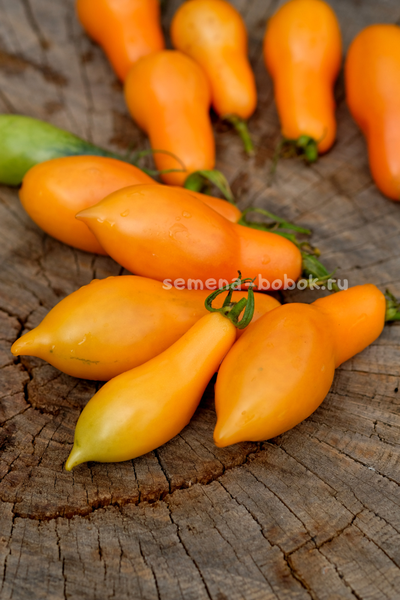 Томат Валентино ( Valentino ), 10 шт