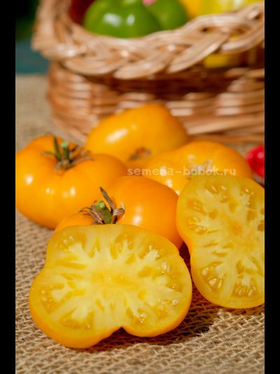 Томат Dwarf Rumpelstiltskin (Гном Румпельштильскин), 10 шт