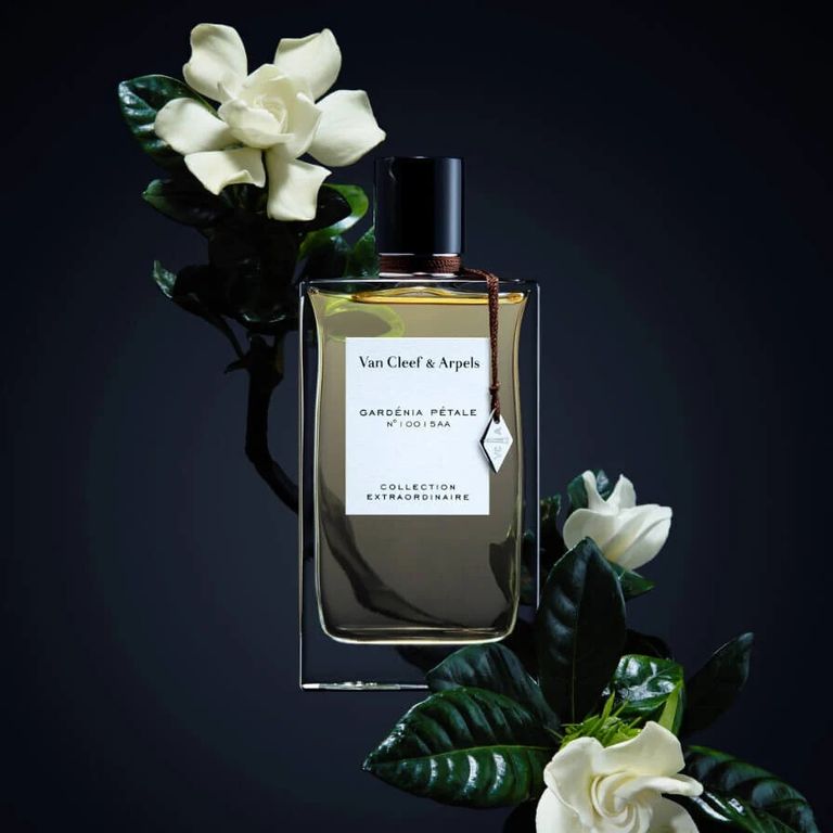 Van Cleef & Arpels Gardenia Petale