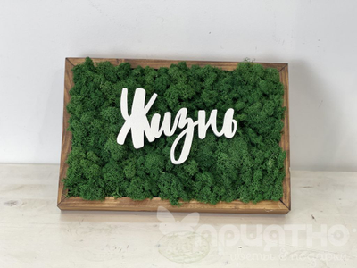 ЖИВАЯ ЭКО-КАРТИНА 1051