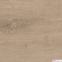 Декор ламината Haro Дуб Венето Кремовый 541585 структура