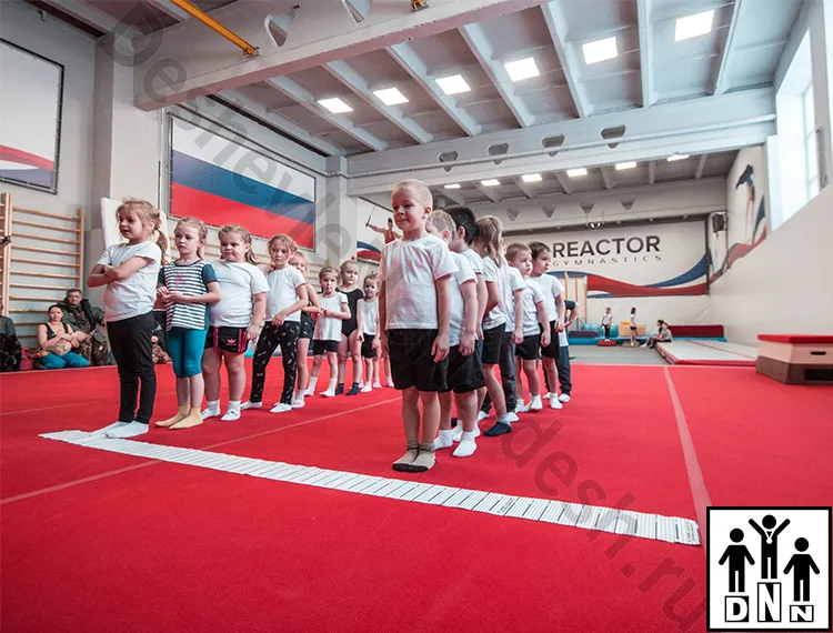 Помост гимнастический на пружинной основе. Томск,  Реактор