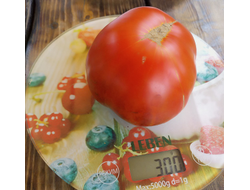 Томат Оранжево-красный Блюз (Orange red Blues)