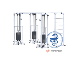 Биотонус-3+шведская стенка (стек 3х75кг) AR087.3х2200