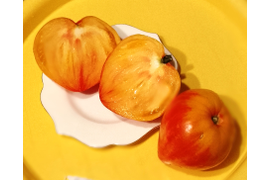 сорт Полуночное солнце