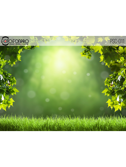 Фотофон виниловый «Изумрудная трава»