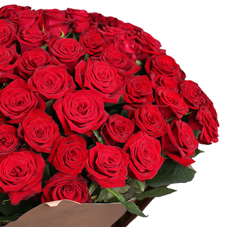Розы Эль Торо  50 см