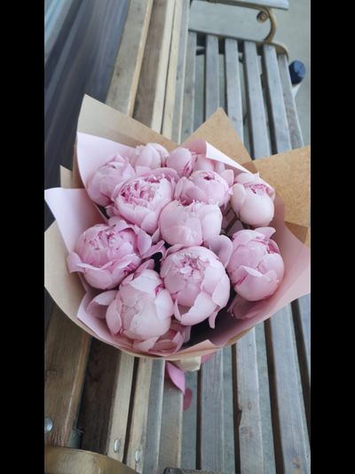 11 розовых пионов