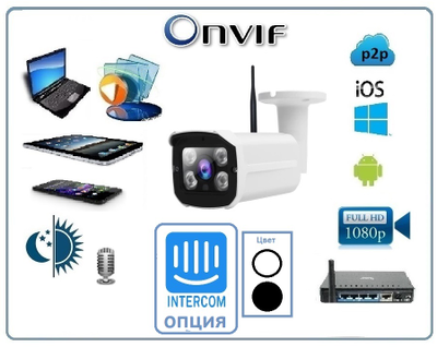 Уличная WiFi/LAN телекамера с встроенным видеорегистратором, микрофоном, с возможностью подключения внешнего интерком модуля Full HD 5MP (-30) (CamHi)