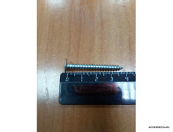 4,2*38 (цена за 100 шт.)