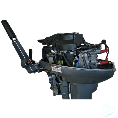 Лодочный мотор SeaPro Tarpon ОТН9.9S (15)