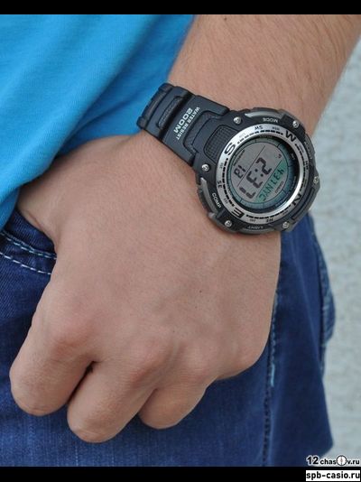 Часы Casio SGW-100-1V