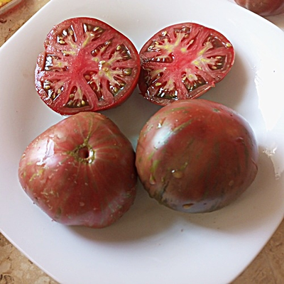 Томат Гном Тенесси Сюит (Dwarf Tennessee Suited)