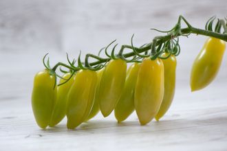 Танцующие зеленые пальцы (Dancing green fingers)
