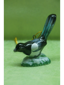 Сорока - Птицы России