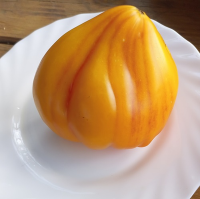 Томат Волшебные шляпы тетушки Гретель (Tante Gretels magische Hute)