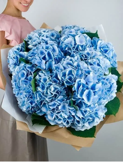 11  гортензий (цвет на выбор)