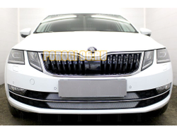 Защита радиатора Skoda Oktavia А7 2017- chrome