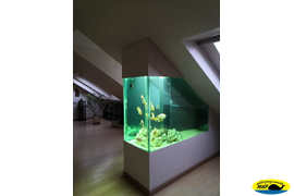 Аквариум пресноводный перегородка