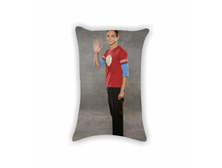 Подушка Теория большого взрыва, The Big Bang Theory №12