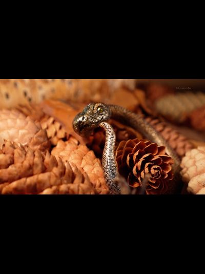 Волшебный браслет &quot;Золотая Радужная Змейка&quot;