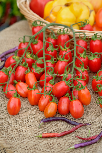 Томат Сызранские Дамские Пальчики, 10 шт.