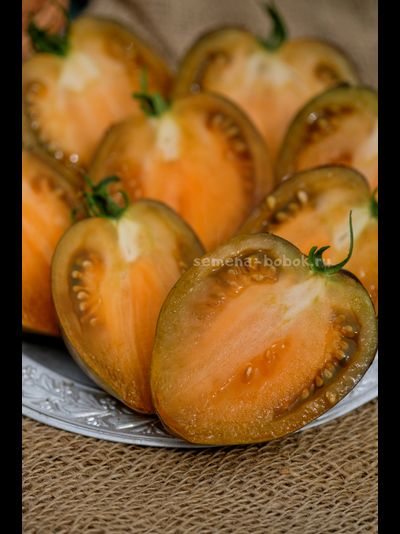 Томат Охровая Вуаль